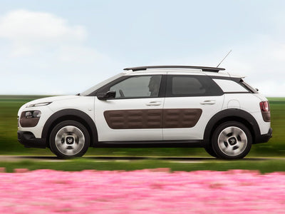 Citroën C4 Cactus (2014 - 2020) - LPDD Conseil | Fiche fiabilité - Fiche fiabilité | Voiture fiable