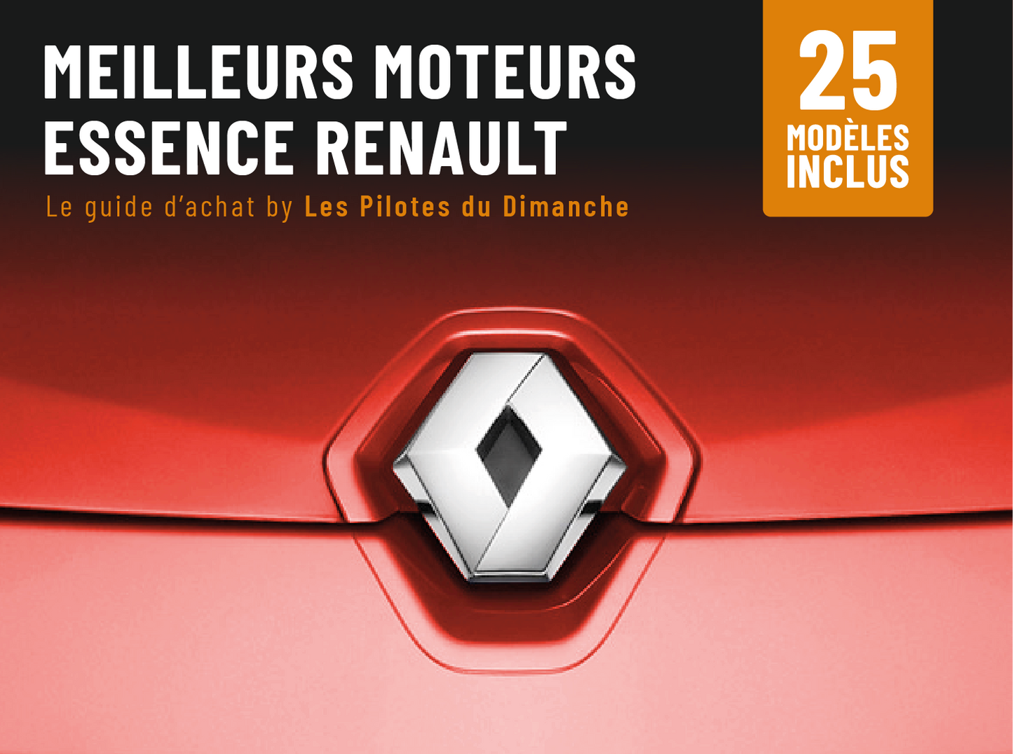 Guide d'achat Moteurs ESSENCE Renault